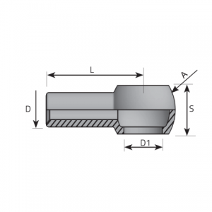 Banjo BSPP with standpipe. (AOG..PDL)